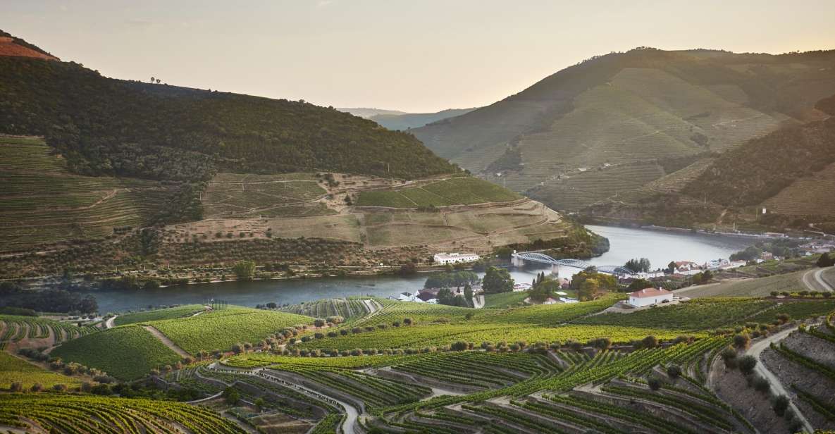 Pinhão: Quinta do Bomfim Visit and Tasting - Museum kickoff: early Douro photos and a family enterprise in context