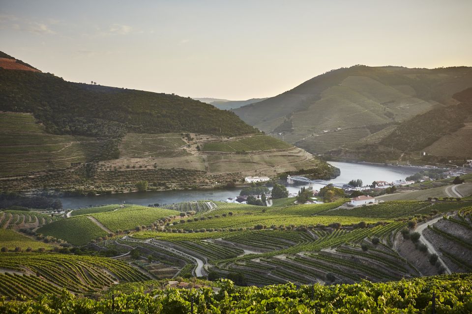 Pinhão: Quinta do Bomfim Visit and Tasting - The 1896 lodge and the vat-and-barrel cellar that makes port make sense