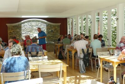 Pinhão: Quinta do Bomfim Visit and Tasting - Vineyard walks with dry-stone terraces and big Upper Douro views