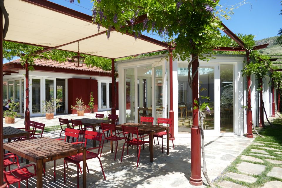 Pinhão: Quinta do Bomfim Visit and Tasting - Guides, pacing, and what to expect from the group experience