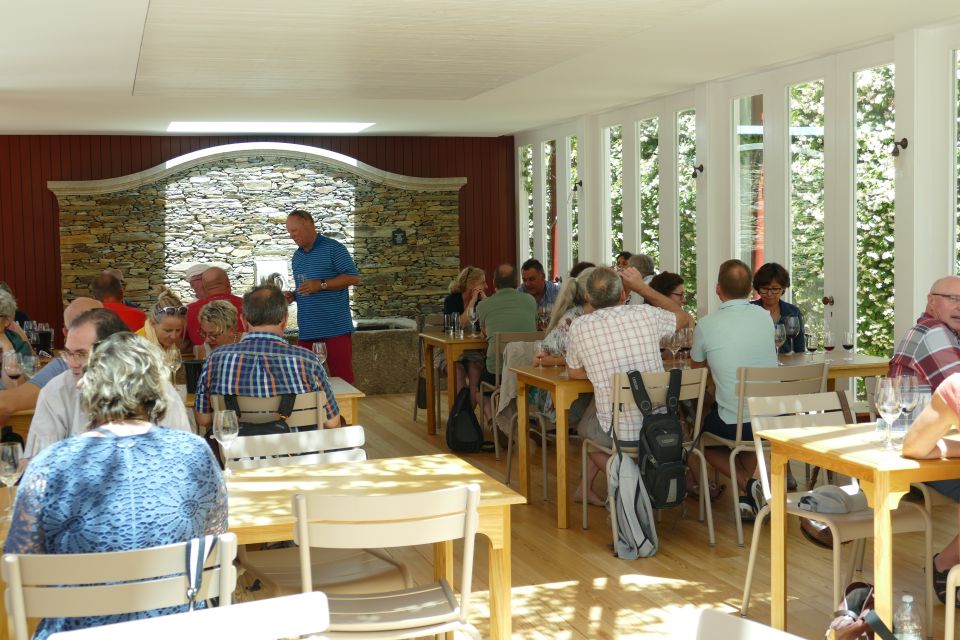 Pinhão: Quinta do Bomfim Visit and Tasting - Vineyard walks with dry-stone terraces and big Upper Douro views