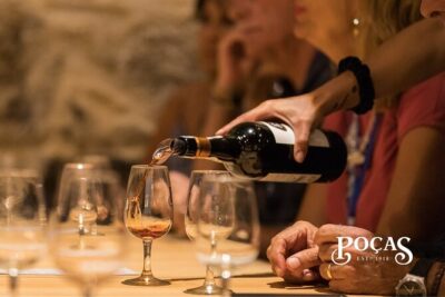 Poças Guided Visit and Wine Tasting of 3 Port Wines - The 90 minutes, step by step: cellar to tasting room