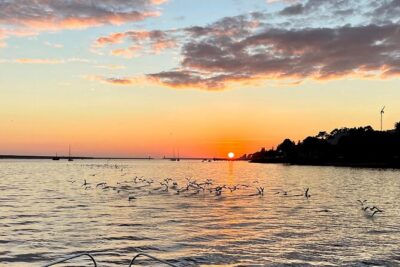 Port : 6 Bridges Cruise With Sunset option & Port wine - Bridges you’ll actually see: Ponte da Arrábida and Ponte Luís I