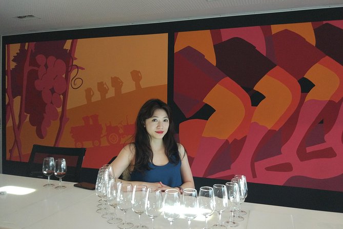 Port Wine Lodges Tour Including 7 Port Wine Tastings (English) - From D. Luís Bridge to Gaia: where you meet and how you start