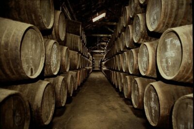Port Wine Lodges Tour Including 7 Port Wine Tastings (English) - The walking plan: how far you’ll go (and what to wear)