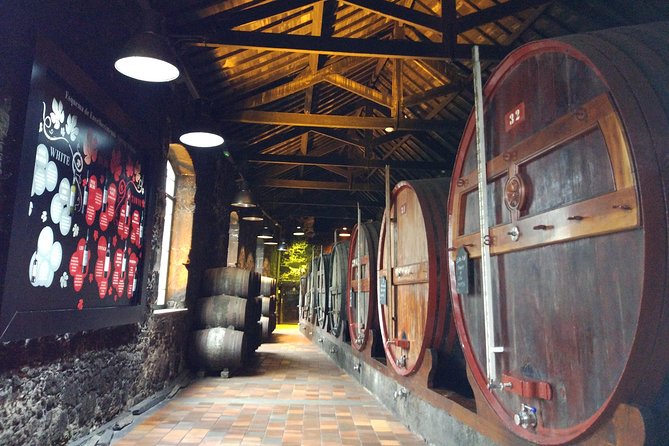 Port Wine Lodges Tour Including 7 Port Wine Tastings (English) - The pairing workshop: Port isn’t just for desserts