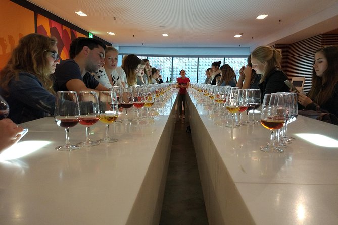 Port Wine Lodges Tour Including 7 Port Wine Tastings (English) - Views and closure on the Gaia side terrace