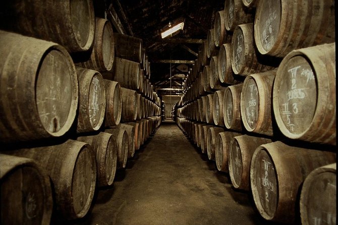 Port Wine Lodges Tour Including 7 Port Wine Tastings (English) - The walking plan: how far you’ll go (and what to wear)