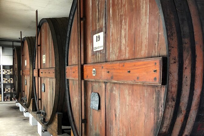 Port Wine Tour | 3 Cellars | 7 Tastings | 12 Participants Maximum - Small Group Energy: Up to 12 People, Plus a Fun Guide Style