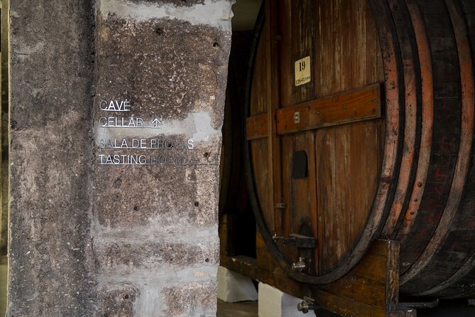 Port Wine Tour | 3 Cellars | 7 Tastings | 12 Participants Maximum - Practical Tips to Make the 2.5 Hours Feel Easy