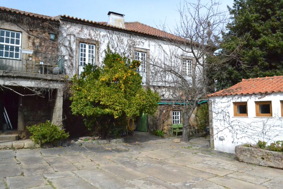 Porto: 3 Douro Valley Vineyards Tour with Lunch - Key Things I’d Watch For