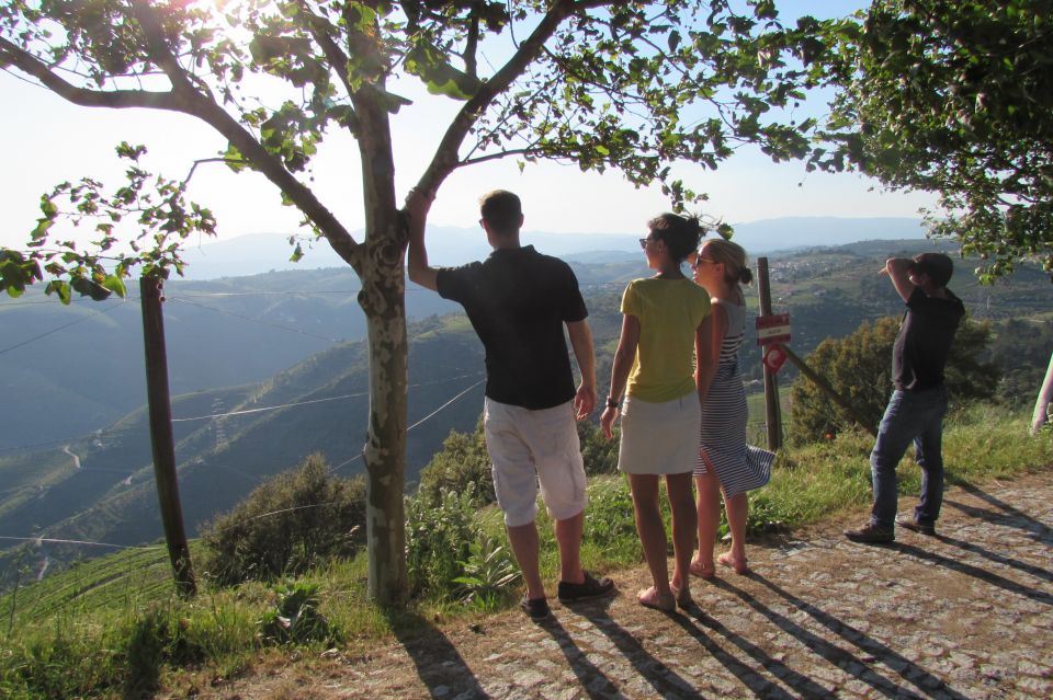Porto: 3 Douro Valley Vineyards Tour with Lunch - How the Douro Day Tour Flows From Porto to Sabrosa