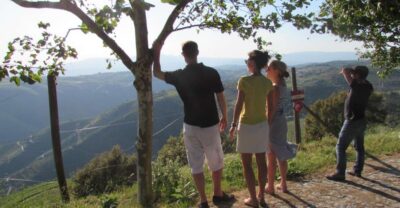 Porto: 3 Douro Valley Vineyards Tour with Lunch - Getting Picked Up at Igreja da Lapa (and Why It Matters)