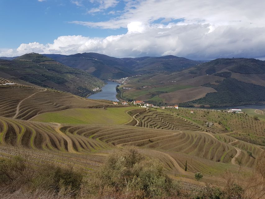 Porto: 3 Douro Valley Vineyards Tour with Lunch - Guides, Group Size, and the Pace of the Day