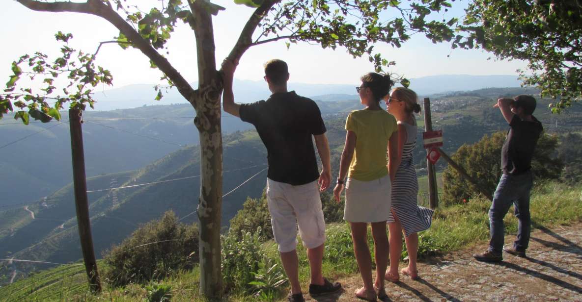 Porto: 3 Douro Valley Vineyards Tour with Lunch - Getting Picked Up at Igreja da Lapa (and Why It Matters)