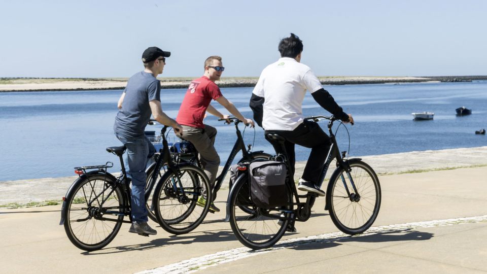 Porto: 3-Hour Bike Tour - Foz do Douro and the Atlantic edge: lighthouse, breakwater, and sea air