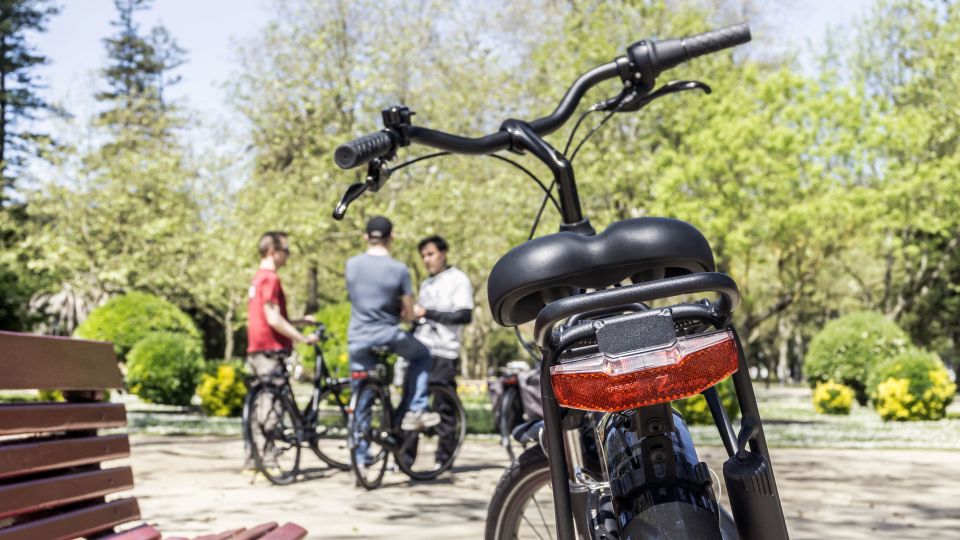 Porto: 3-Hour Bike Tour - Museums and culture from the bike lane: Serralves, trams, and port history pointers