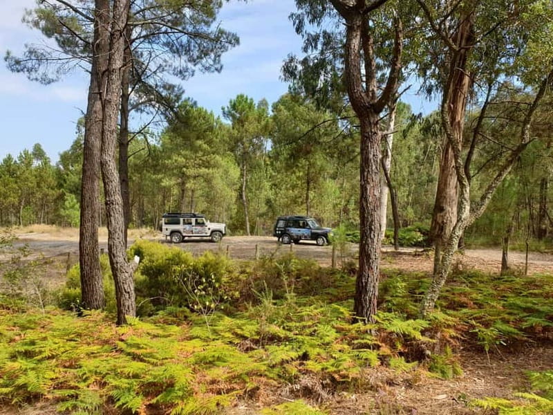 Porto: 4x4 Mountain Tour - Price and value: is $82 fair for this kind of half-day?