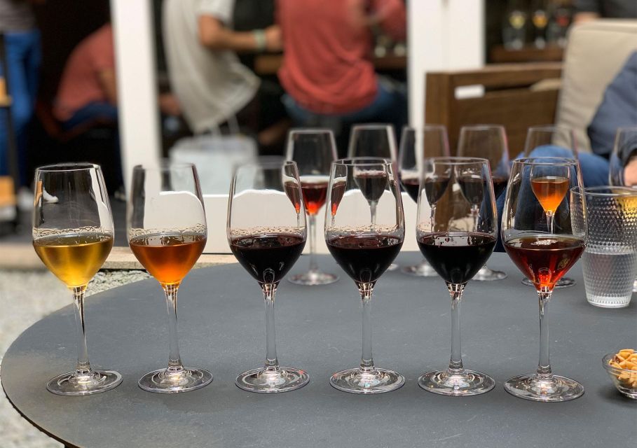 Porto: 5 Port Wine Tasting with Delicious Pairings - Timing, Pace, and When You Might Feel Rushed