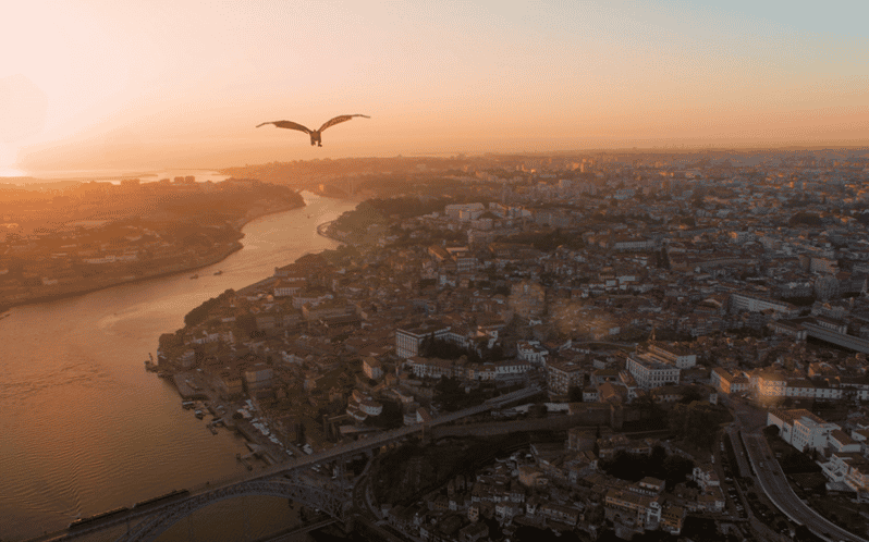 Porto: 5D Flight over de City for all family. - What the 5D Cinema Experience Adds (and What You Can Feel)