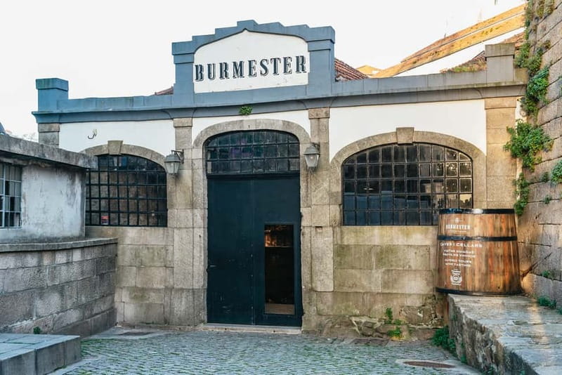Porto: Bridges Cruise with Wine Cellar Tour or Sunset Option - Ponte da Arrábida and the bridge-spotting game (for real)