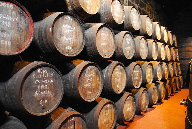 Porto: Cálem Cellar Tour, Live Fado Show and Wine Tasting - Key highlights worth your attention