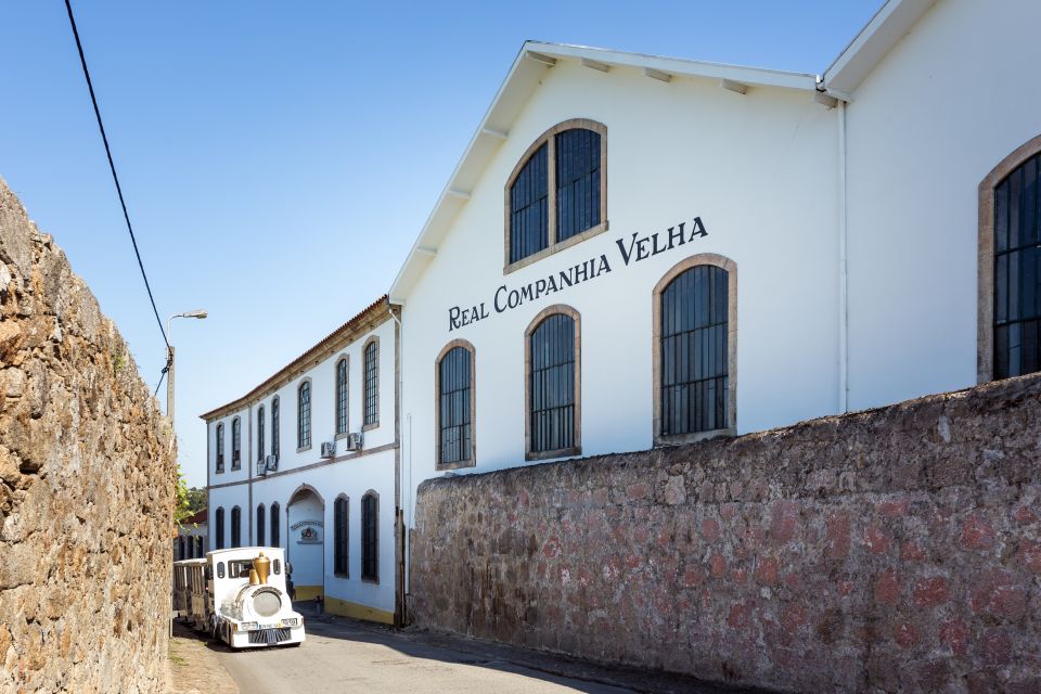 Porto: City Train Tour, River Cruise & Wine Cellar - Real Companhia Velha: the cellar visit that turns port into a story