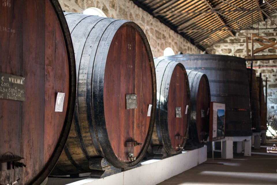 Porto: City Train Tour, River Cruise & Wine Cellar - Price and value: does $43 buy you a full Porto day?