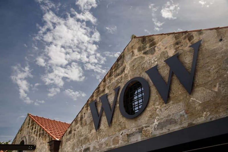 Porto: Combined Ticket for WOW Cultural District - The Wine Experience: where Portuguese wine becomes a story you can taste