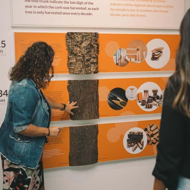 Porto: Combined Ticket for WOW Cultural District - Porto to WOW: a practical way to build your route