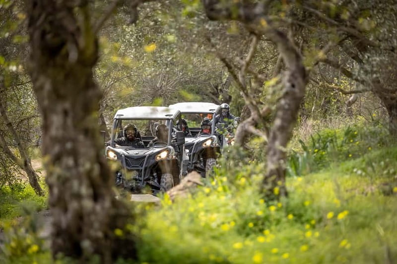 Porto: Dirt and Dust Tour by Oporto Buggy - Pre-Tour Briefing: Gear Up for a Bumpy Hour