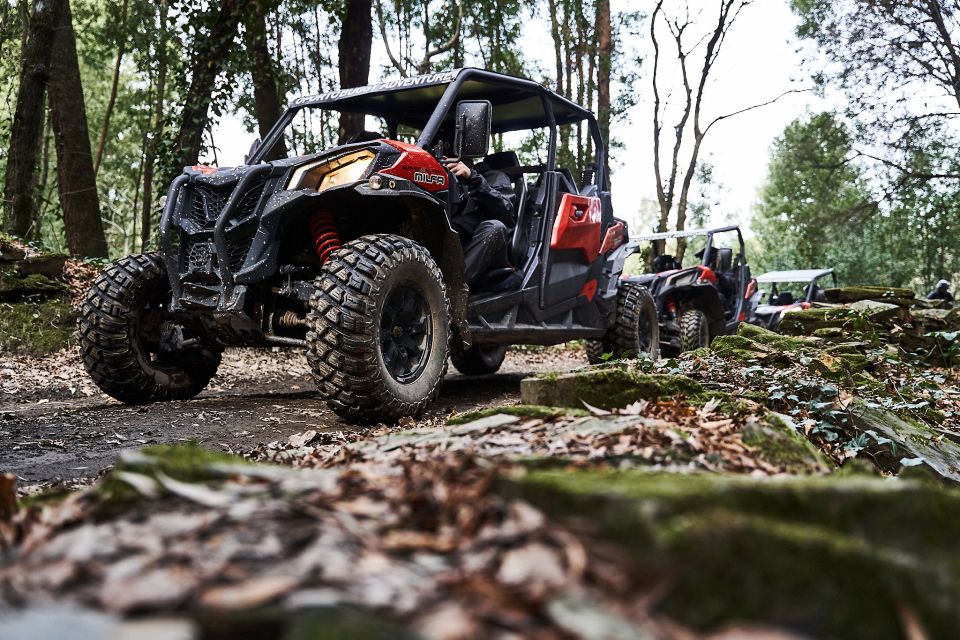 Porto: Dirt and Dust Tour by Oporto Buggy - Rally de Portugal Shakedown: Motorsport Energy, Real-World Ground