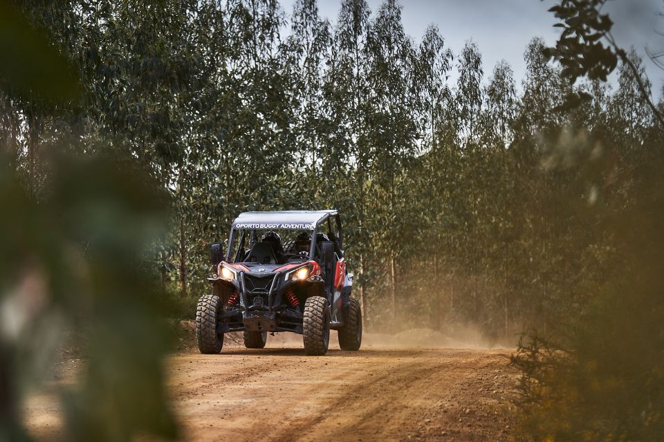 Porto: Dirt and Dust Tour by Oporto Buggy - Parque Natural das Serras do Porto Trails: The Terrain That Makes It Extreme
