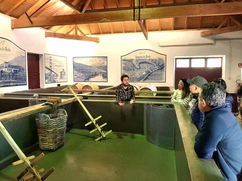 Porto: Douro Valley, 2 Wineries, Lunch & Private Boat Trip - Why this Douro day trip clicks: Port, DOC, and the river story