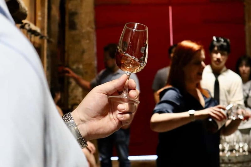 Porto: Douro Valley, 2 Wineries, Lunch & Private Boat Trip - The private boat cruise on the Douro: snacks, drinks, and slow views