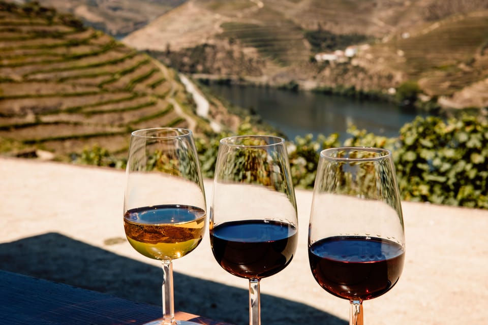 Porto: Douro Valley & Amarante Wine, Food & River Tour - From Trindade Domus to the N222 viewpoints: why the drive matters