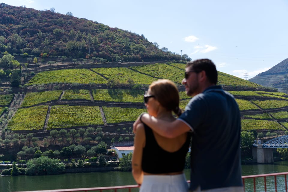 Porto: Douro Valley & Amarante Wine, Food & River Tour - Quinta time: Port tastings with a real cellar tour