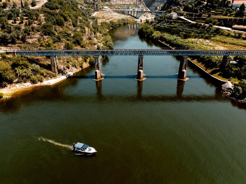 Porto: Douro Valley Full-Day Boat, Train, and Lunch Tour - Key highlights that make this tour worth your time
