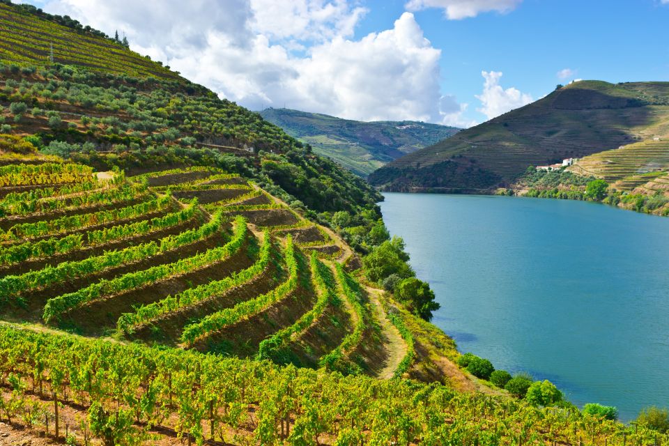 Porto: Douro Valley History & Wine Tour with Cruise & Lunch - Douro’s V-shaped river and why you’ll care when you get there