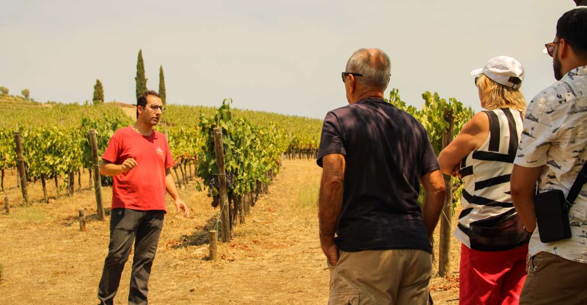 Porto: Douro Valley History & Wine Tour with Cruise & Lunch - Amarante: the small-town detour that adds real character