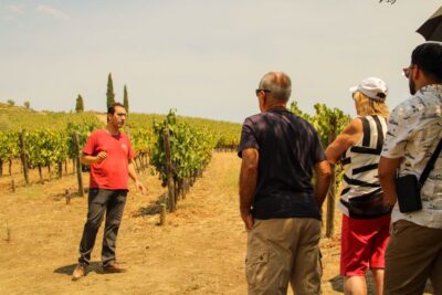 Porto: Douro Valley History & Wine Tour with Cruise & Lunch - Meeting at Porto Cathedral and getting the day rolling