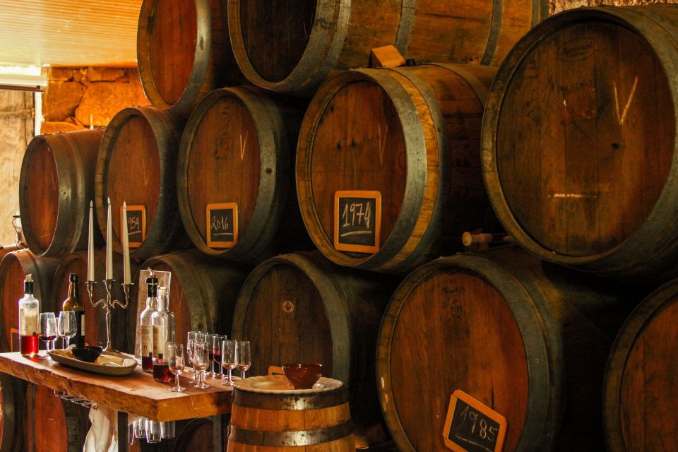 Porto: Douro Valley History & Wine Tour with Cruise & Lunch - The winery visit: production learning plus 3 Port tastings