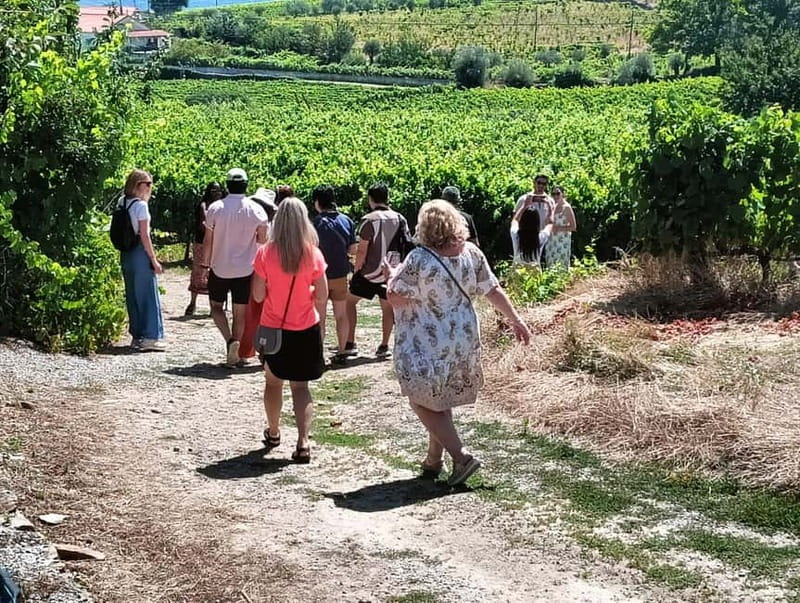 Porto: Douro Valley Tour at 2 Wineries with Lunch and Cruise - From Trindade to the Douro: how this 9-hour day flows