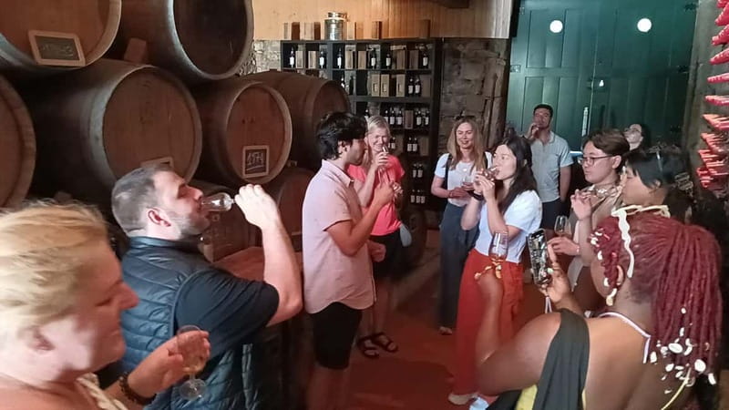 Porto: Douro Valley Tour at 2 Wineries with Lunch and Cruise - Who should book this Douro tour—and who should skip it