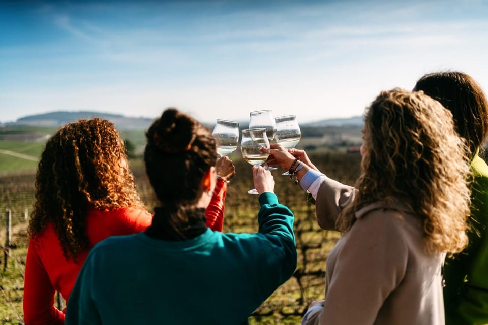 Porto: Douro Valley Tour with 2 Wineries, Lunch and Cruise - Winery stop one: Port wine tastings with real production context