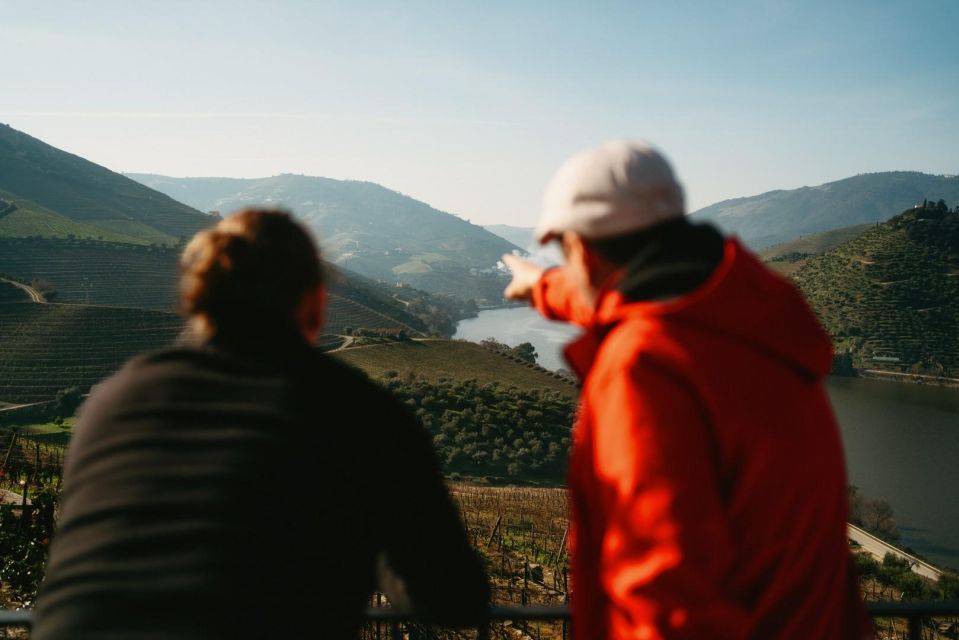 Porto: Douro Valley Tour with 2 Wineries, Lunch and Cruise - Olive oil tastings (twice): the surprise that makes the day feel Portuguese