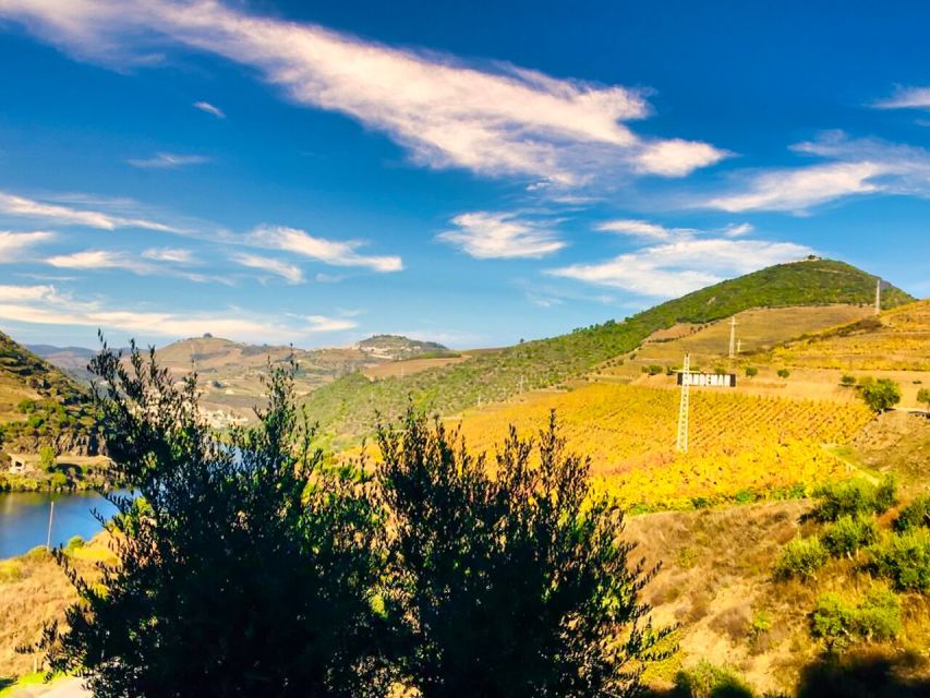 Porto: Douro Valley Tour with 2 Wineries, Lunch and Cruise - Price and value: where your money actually goes