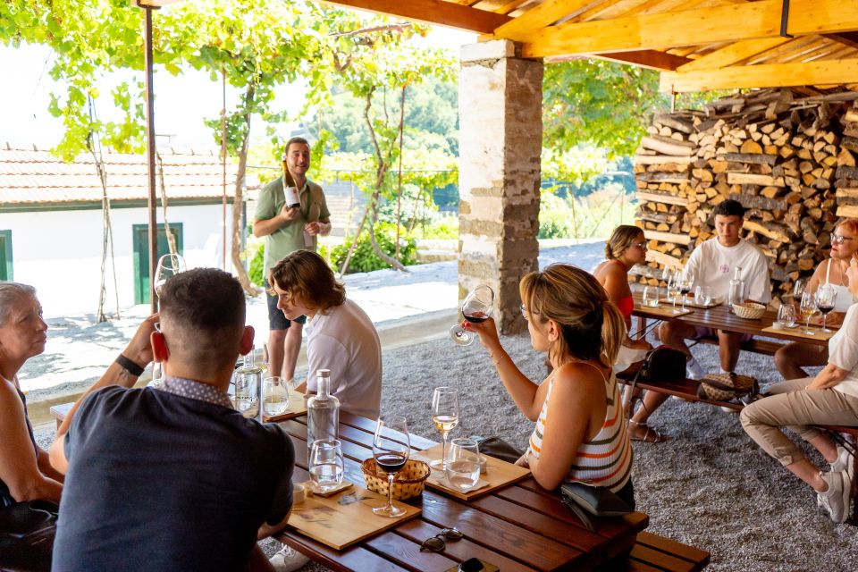 Porto: Douro Valley Tour with Lunch, Boat Cruise & Tastings - Régua viewpoints and the N222 road: photos without rushing your brain