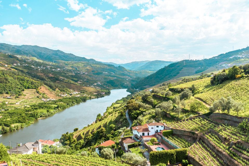 Porto: Douro Valley Tour with Wine Tasting, Cruise and Lunch - Porto to the Douro Valley: the value of a guided day