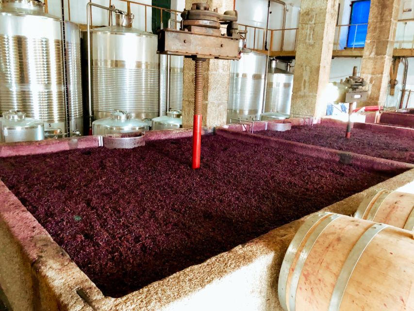 Porto: Douro Valley Tour with Wine Tasting, Cruise and Lunch - FAQ